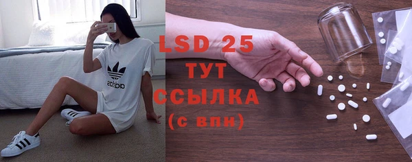 PSILOCYBIN Абдулино