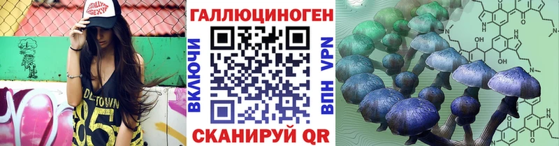 Псилоцибиновые грибы Cubensis дарнет шоп это формула Омск